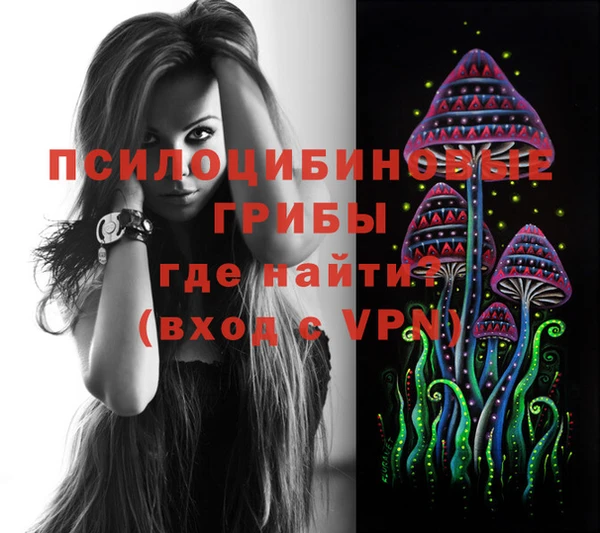 МДПВ Аркадак