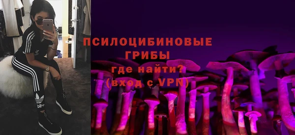 индика Арсеньев