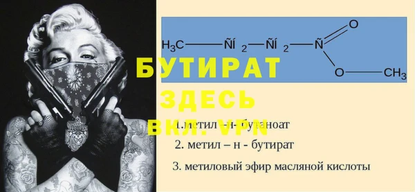 индика Арсеньев