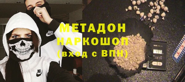 индика Арсеньев