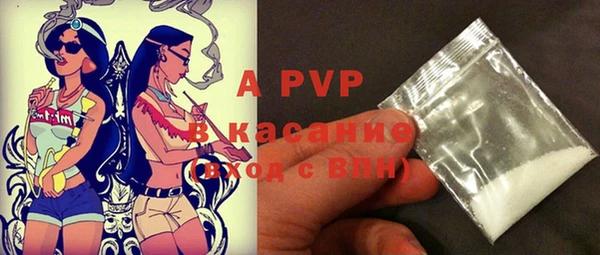 индика Арсеньев