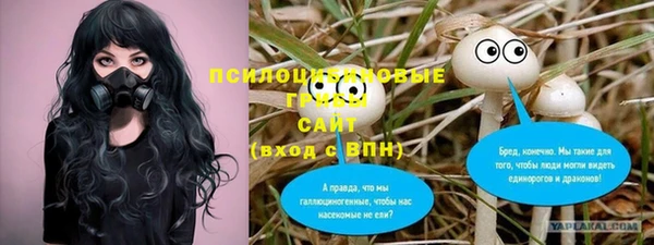 индика Арсеньев