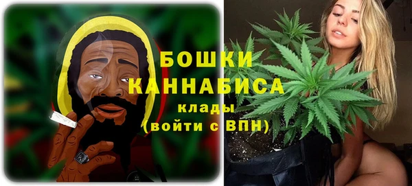 индика Арсеньев
