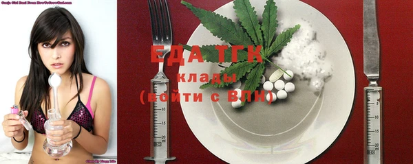 индика Арсеньев