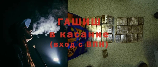индика Арсеньев
