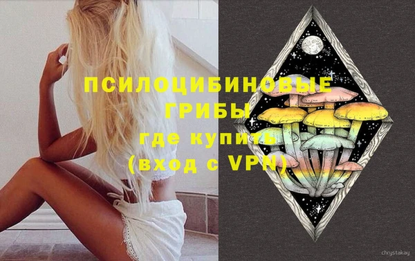 индика Арсеньев