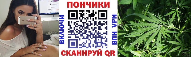 Марихуана конопля Стародуб